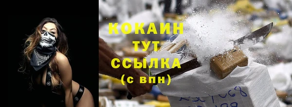 СК Сосновка