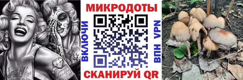 Псилоцибиновые грибы Psilocybine cubensis  omg ССЫЛКА  Назарово  дарнет шоп 